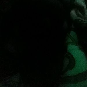 Meet your Posher, Tim